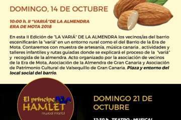 Programa de fiestas de San Miguel 2018 (Foto TA)